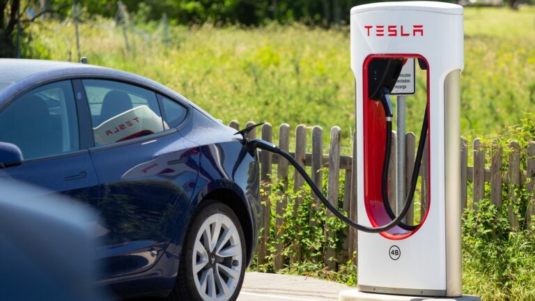 l intro 1689631697 768x432